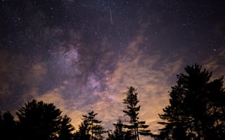 Картинка звезды, галактика, небо, природа, лес, ночь, облака, астрономия, пейзаж, космос