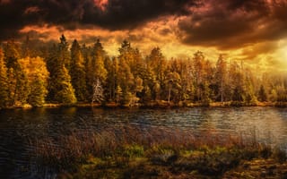 Картинка природа, озеро, лес, осень, пейзаж, закат, деревья, небо, водоем, тихое место