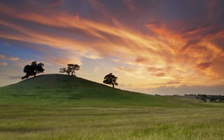 Картинка пейзаж, закат, природа, деревья, холм, небо, трава
