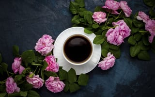 Картинка кофе, роза, цветы, чашка, декор, природа, фоновое