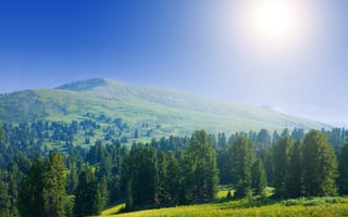 Картинка природа, горы, лес, солнце, пейзаж, небо, зелень