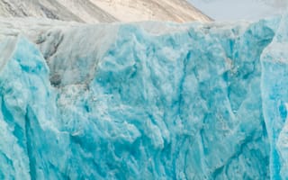 Картинка медведь, ледник, природа, арктика, пейзаж, зима, снег