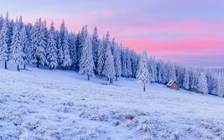 Картинка зима, снег, лес, пейзаж, деревья, закат, природа