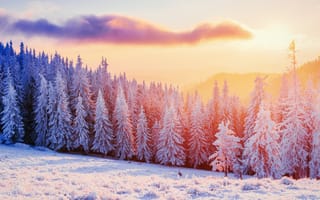 Картинка зима, лес, снег, пейзаж, солнце, деревья, природа, горы, закат, холод