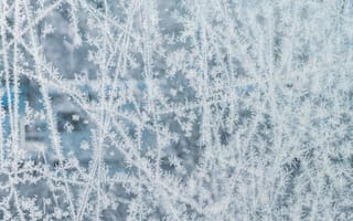 Картинка мороз, узоры, зима, лед, прозрачный, стекло, холод