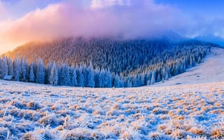 Картинка зима, снег, лес, горы, пейзаж, природа, закат