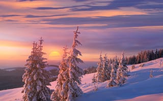 Картинка зима, снег, закат, лес, природа, пейзаж, деревья, горы, холод, красота
