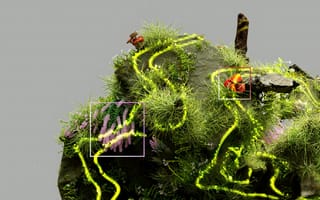 Картинка природа, растения, ландшафт, горы, цветы, мох, декорации