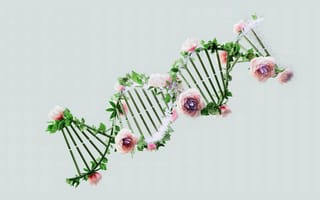 Картинка ДНК, цветы, природа, красота, обои, арт, дизайн