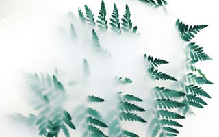 Картинка листья, растения, фоны, природа, зелень, декор, мистика