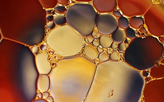 Картинка пузырьки, жидкость, абстракция, цвет, текстура, фоновое изображение, арт