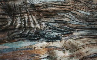 Картинка дерево, текстура, природа, фон, узор, коричневый, гладкий