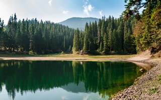 Картинка озеро, лес, природа, горы, отражение, пейзаж, спокойствие