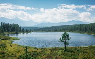 Картинка природа, озеро, горы, лес, пейзаж, небо, отдых