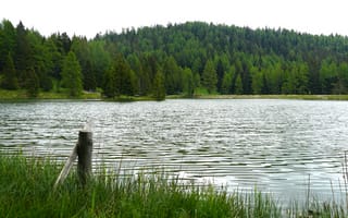 Картинка озеро, природа, лес, пейзаж, вода, деревья, отдых