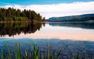 Картинка озеро, природа, лес, отражение, пейзаж, небо, вода
