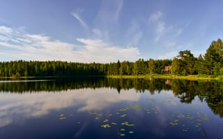 Картинка озеро, природа, лес, отражение, небо, пейзаж, лето, спокойствие