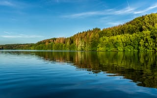 Картинка озеро, природа, лес, отражение, небо, пейзаж, вода