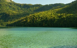 Картинка озеро, природа, лес, горы, вода, пейзаж, отдых