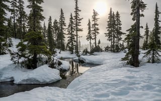 Картинка зима, лес, снег, природа, река, солнце, пейзаж, мгновение, деревья, горы