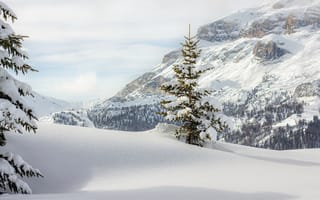 Картинка зима, снег, горы, природа, пейзаж, лес, холод