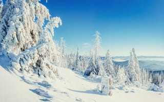 Картинка зима, снег, лес, горный пейзаж, небо, природа, холод