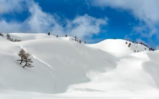 Картинка снег, горы, пейзаж, зима, небо, природа, деревья