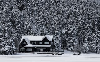 Картинка зима, снег, дом, лес, природа, пейзаж, мирный