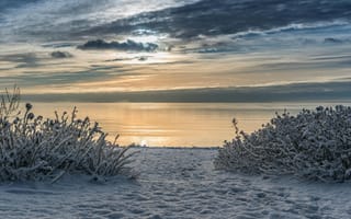 Картинка зима, снег, пейзаж, море, закат, природа, холод