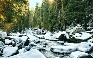 Картинка лес, река, зима, снег, природа, камни, солнце