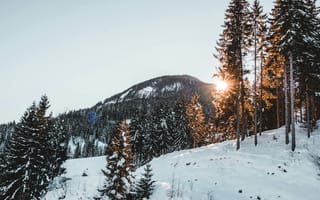 Картинка зима, снег, лес, горы, солнце, природа, пейзаж