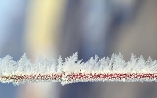 Картинка мороз, зима, природа, лед, пейзаж, красота, фотография