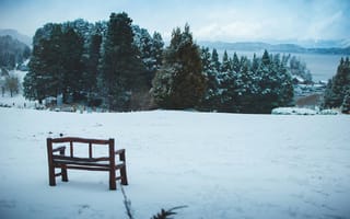 Картинка зима, снег, природа, пейзаж, деревья, скамейка, озеро, мирный, холод, отдых