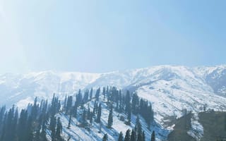 Картинка горы, снег, природа, лес, пейзаж, небо, зима