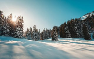 Картинка зима, снег, лес, солнце, пейзаж, природа, горный