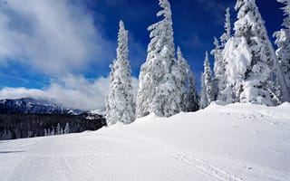 Картинка зима, снег, лес, деревья, пейзаж, горнолыжный, небо