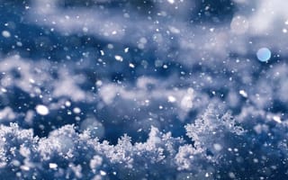 Картинка снег, зима, пейзаж, холод, природа, красота, фотография