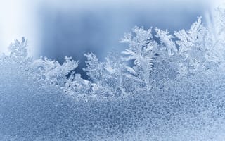 Картинка мороз, лед, зима, узоры, холод, природа, фотография