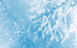 Картинка зима, снег, лед, природа, холод, фон, свет