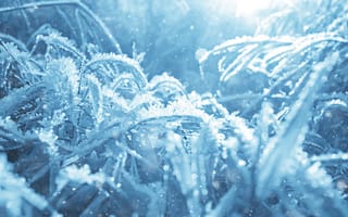 Картинка мороз, зима, лед, природа, снег, холод, пейзаж