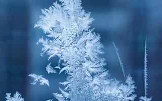 Картинка мороз, узоры, зима, лед, природа, холод, красота