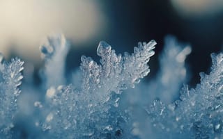 Картинка лед, зима, мороз, природа, красота, макро, снежинки