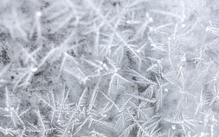 Картинка снег, зима, лед, природа, узоры, холод, фотография
