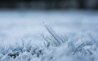 Картинка зима, иней, снег, природа, холод, пейзаж, мороз
