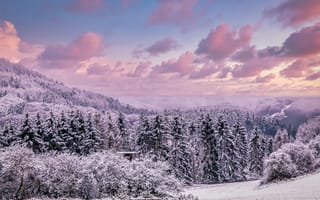 Картинка зима, снег, лес, пейзаж, облака, природа, горизонт