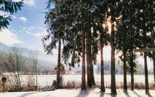 Картинка зима, снег, деревья, пейзаж, солнце, природа, тени