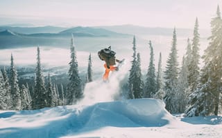 Картинка снег, горные лыжи, спорт, зима, пейзаж, экстрим, деревья