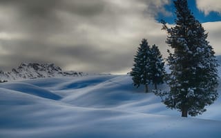 Картинка зима, снег, пейзаж, деревья, горы, облака, природа