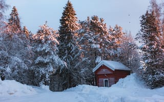 Картинка зима, лес, снег, дом, природа, пейзаж, холод