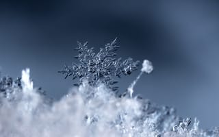 Картинка снег, снежинка, зима, холод, природа, макросъемка, лед